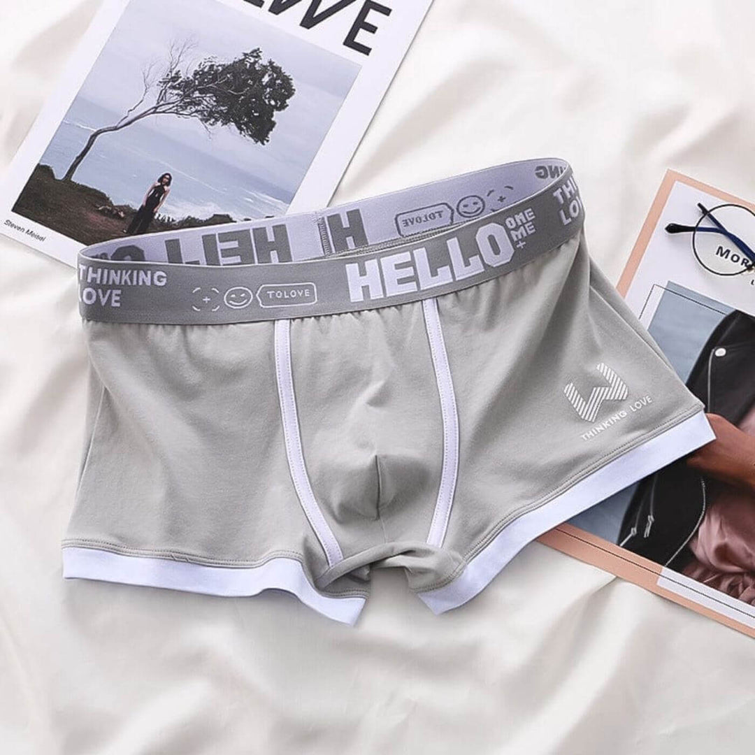 Gerwin - Waistband Comfortable Boxer Underwear